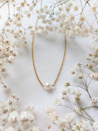 Ketting Lou - Zoetwaterparel